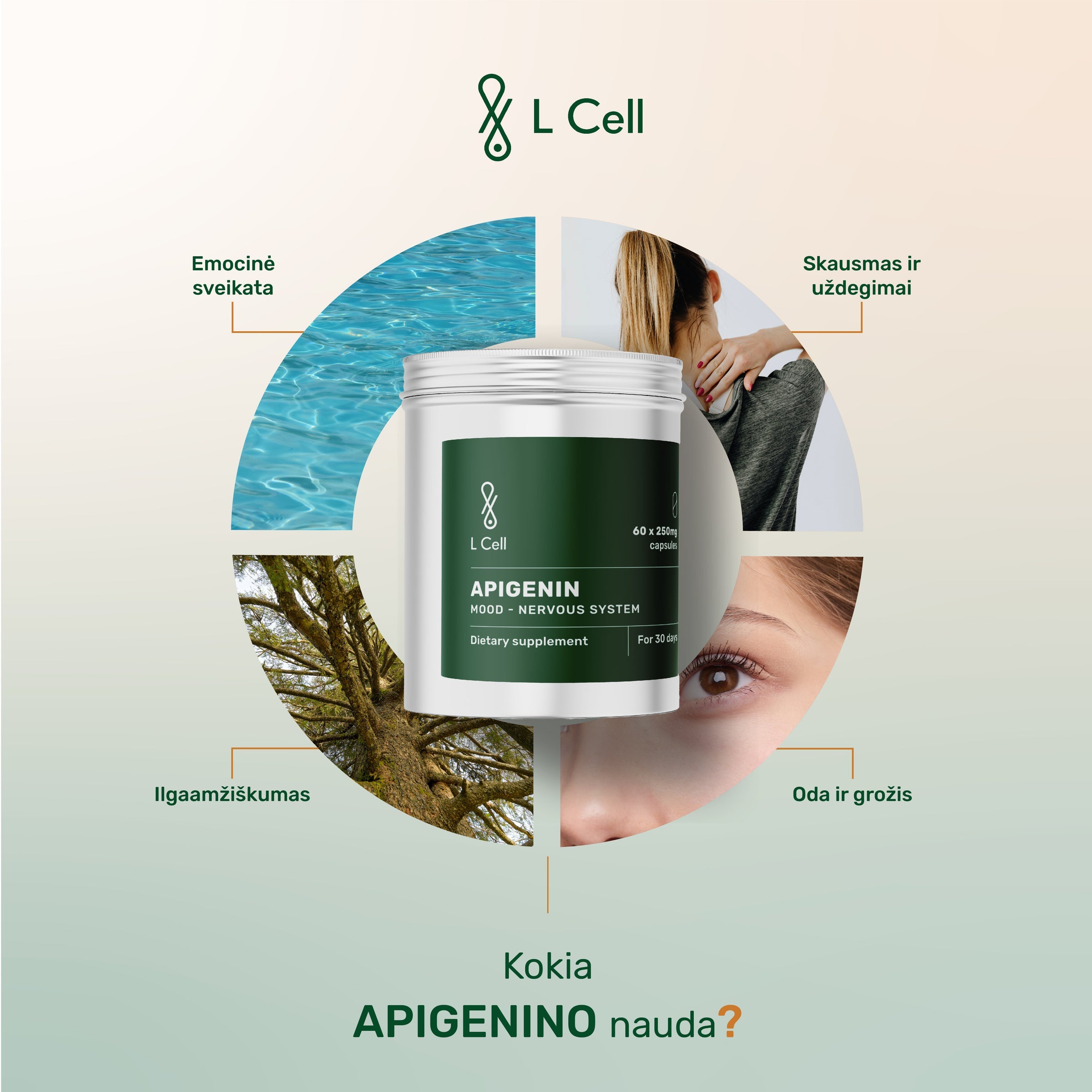 L Cell Apigenin Capsules 250 mg (30 dni, 60 szt.)