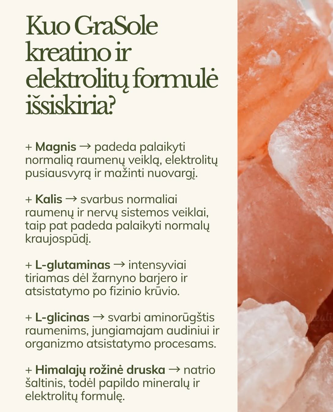 GraSole Hydracreatine + Electrolytes (braškių skonio)