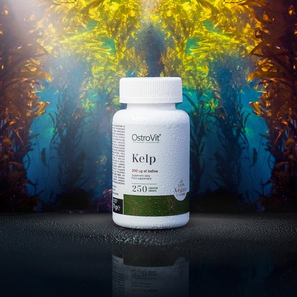 OstroVit Kelp 250 tabs photo