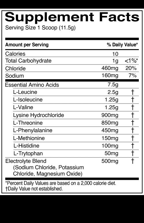 R1 ESSENTIAL AMINO 9 sudetis