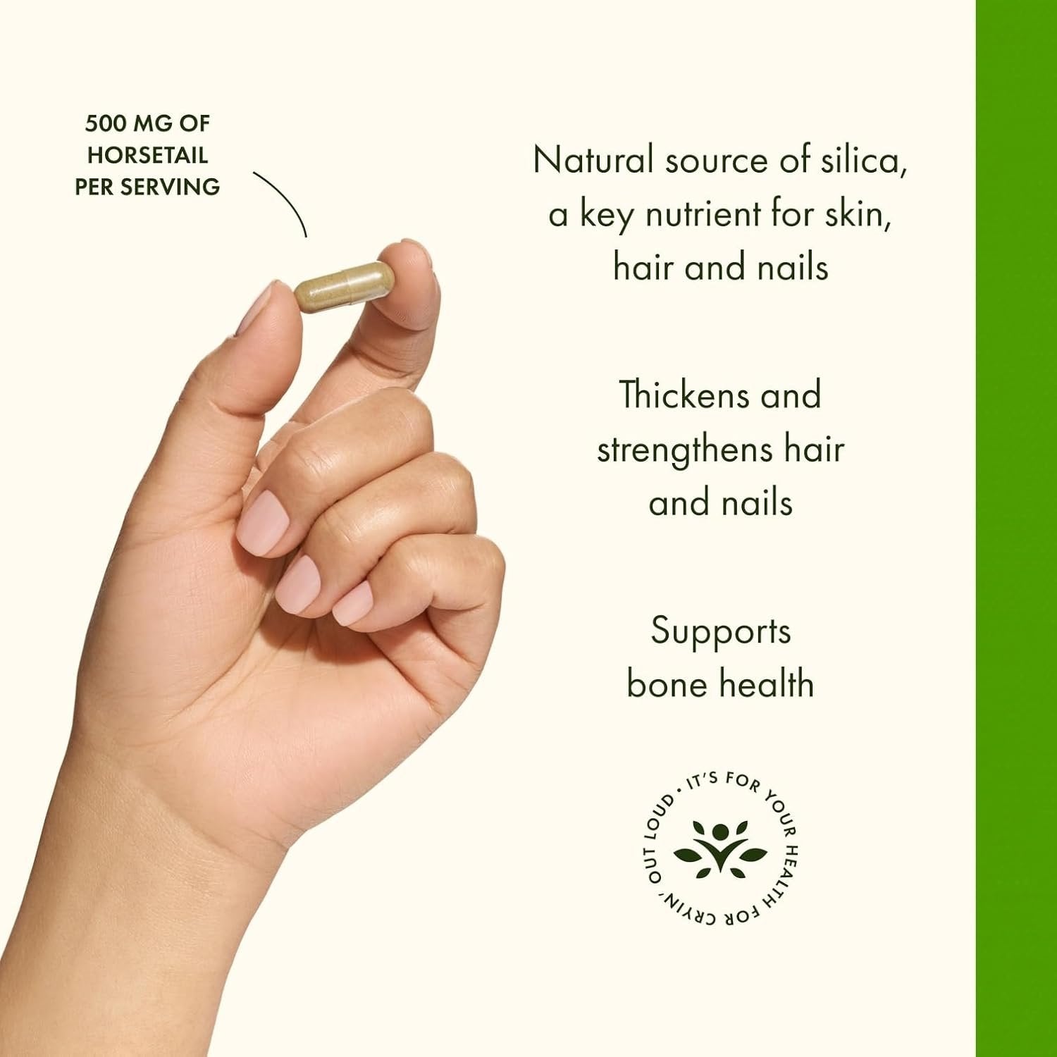 Benefits of Swanson Horsetail, 500mg - 90 caps